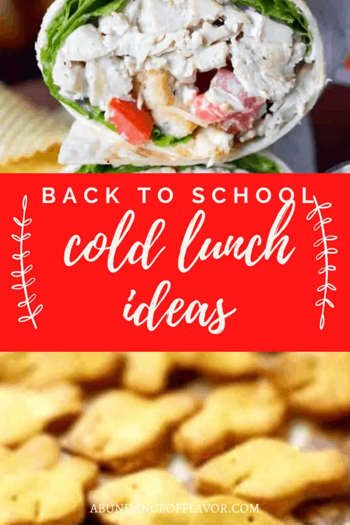 Back to School Cold Lunch Ideas - Abundance of Flavor