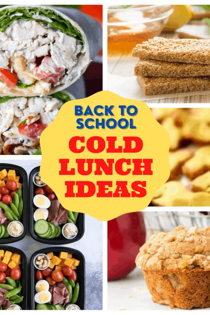 Back to School Cold Lunch Ideas - Abundance of Flavor